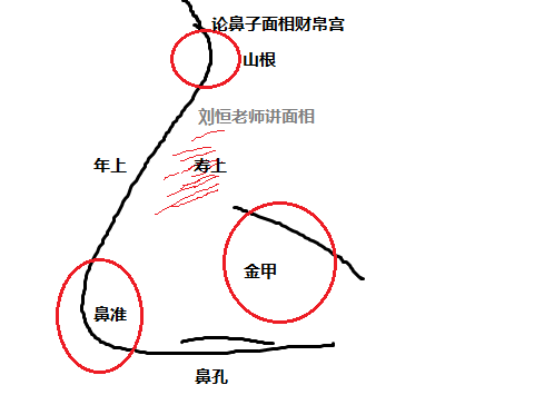 《麻衣相法》刘恒注解，鼻子面相之财帛宫